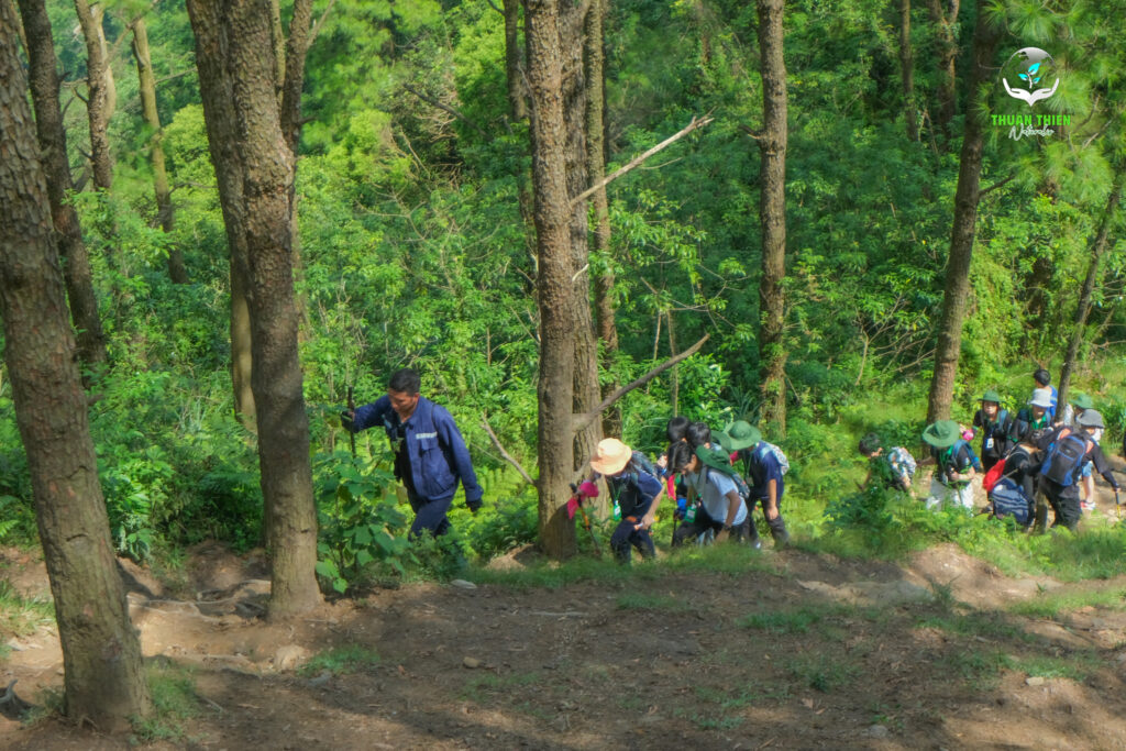 Khám phá hệ sinh thái rừng qua hành trình trekking núi Hàm Lợn