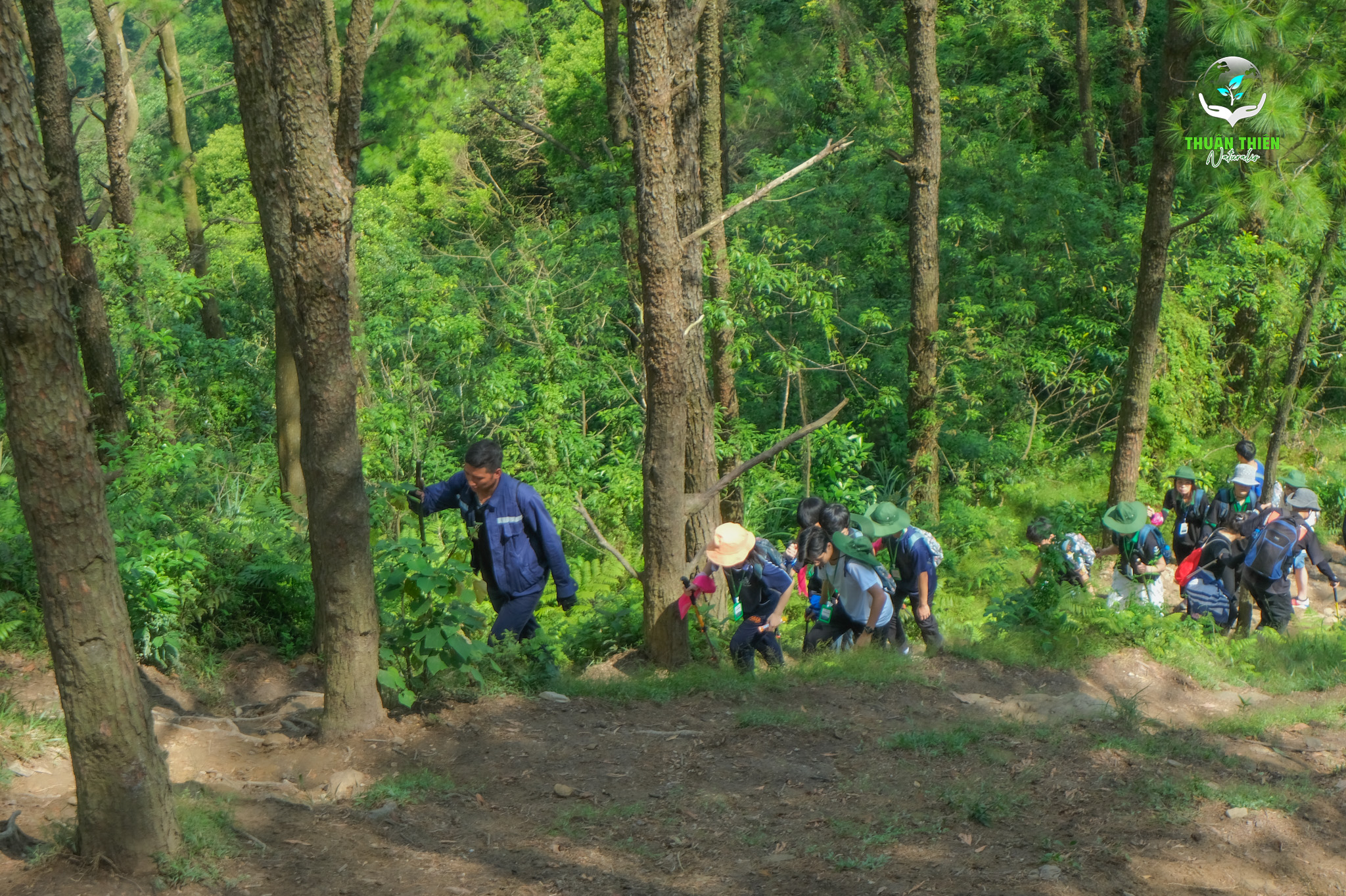Khám phá hệ sinh thái rừng qua hành trình trekking núi Hàm Lợn