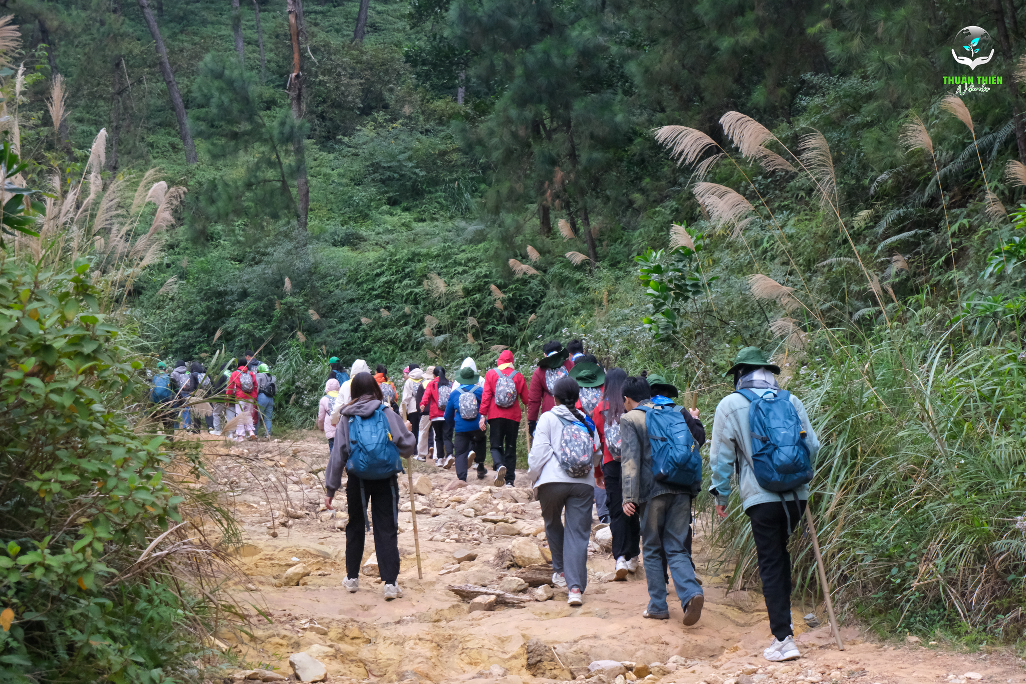 trekking tại Việt Nam với địa hình núi rừng đa dạng