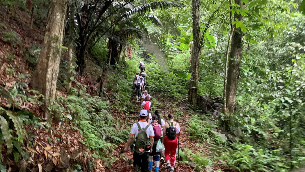 trekking tại tam đảo