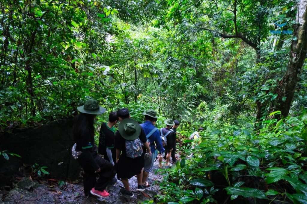 Trekking – Xu hướng tìm về thiên nhiên của giới trẻ Việt Nam