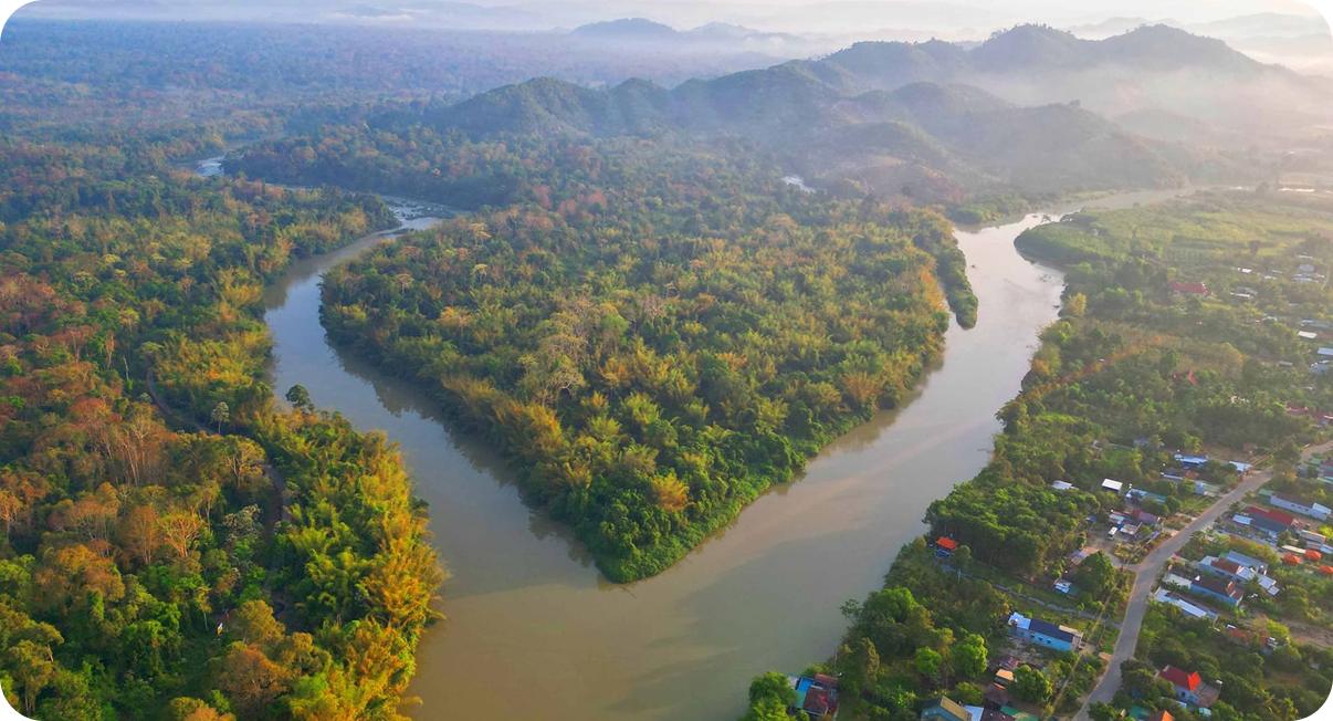 Những cánh rừng nhiệt đới ở việt nam bền bỉ giữ đất, trữ nước và điều hòa khí hậu tự nhiên