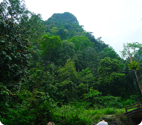 xuanSonSlide1