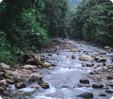 xuanSonSlide3